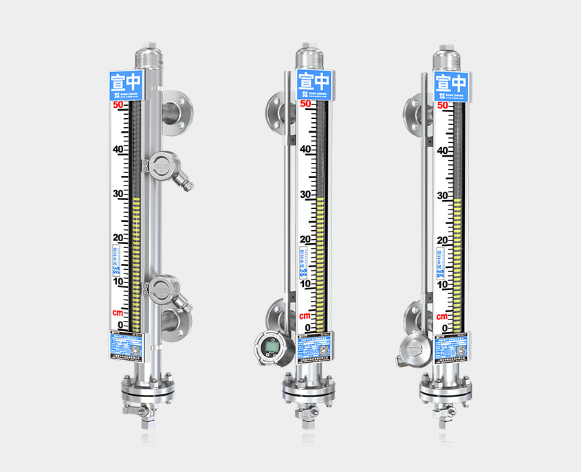 基本型-磁翻板液位计插图